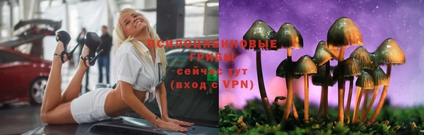 бошки Армянск