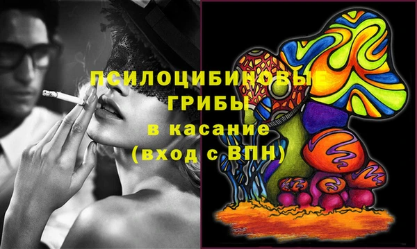 бошки Армянск