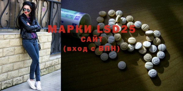 крисы Аркадак