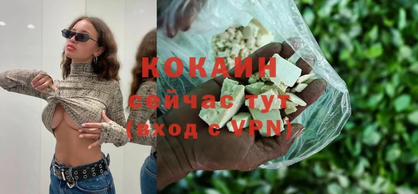 стаф Арсеньев