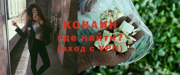 стаф Арсеньев
