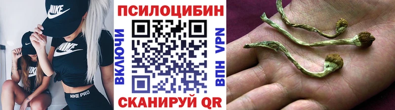 Галлюциногенные грибы Cubensis  МЕГА зеркало  Разумное  купить закладку 